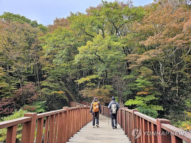 가을 한라산에서