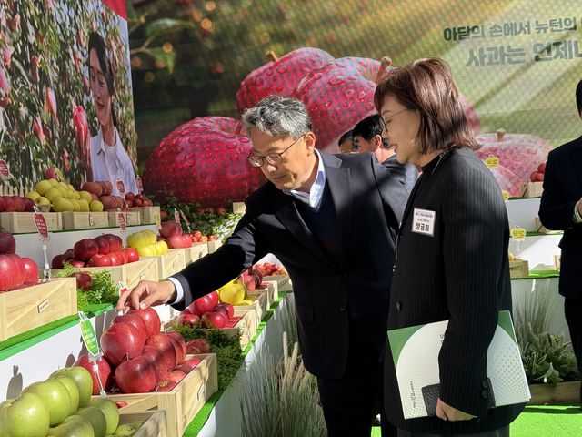 경북 사과 홍보 행사