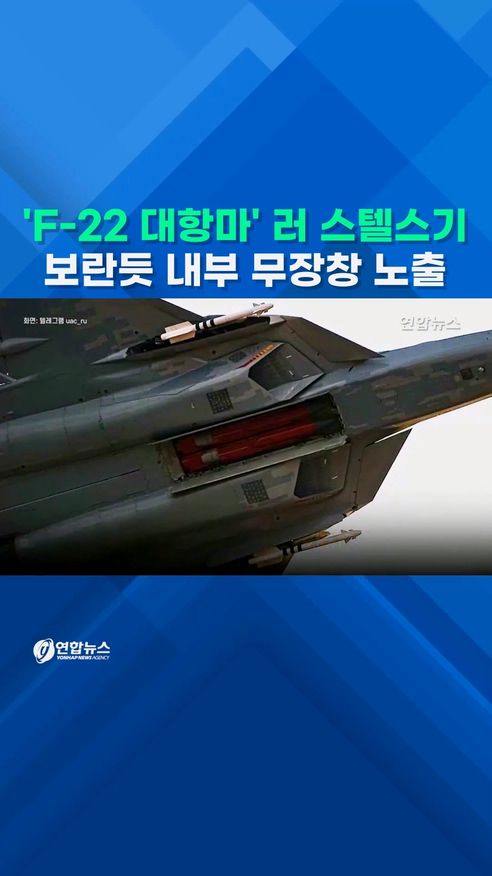 [쇼츠] 두바이 에어쇼 앞두고…러 스텔스기, 보란듯 내부 무장창 공개 - 2