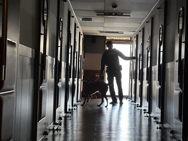 교내 수색 중인 경찰과 폭발물 탐지견