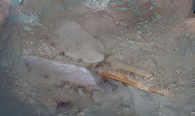 청자 다발 주변에서 발견된 목제 닻과 닻돌