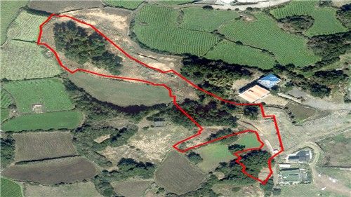 훼손된 후 임야 사진