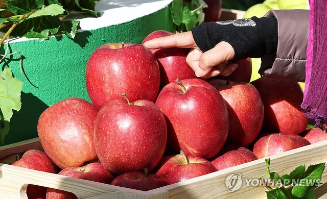 경북 사과 홍보행사 개최