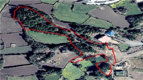 훼손되기 전 임야 사진