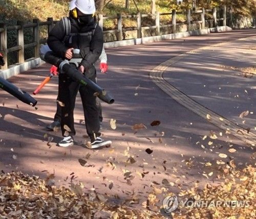 '바람에 날려버려라'