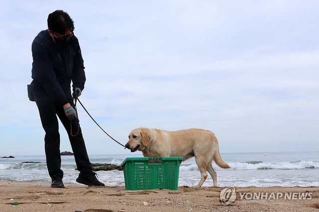 수색 나선 마약 탐지견