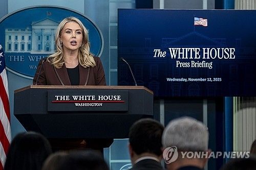 브리핑 하는 레빗 대변인 