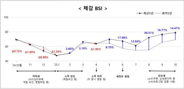 소상공인 체감 BSI