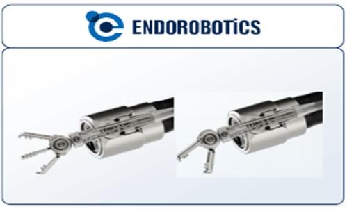 내시경 호환형 유연 수술로봇