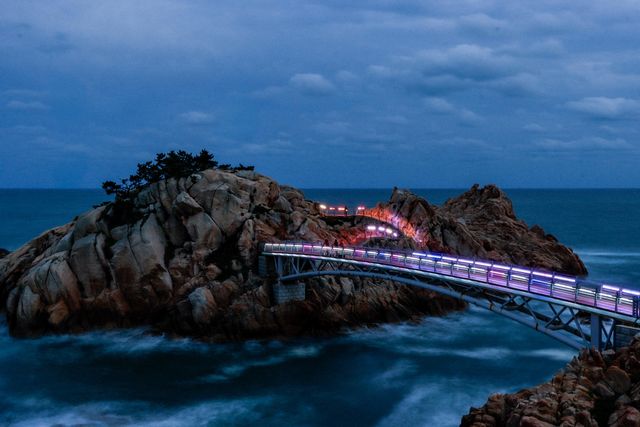 제3회 울산 외국인 사진전 작품