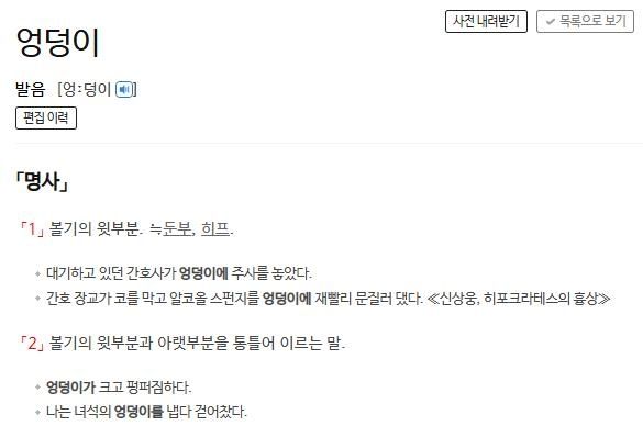 엉덩이에 대한 사전의 정의