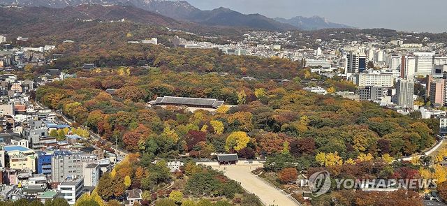 빌딩에 둘러싸인 종묘