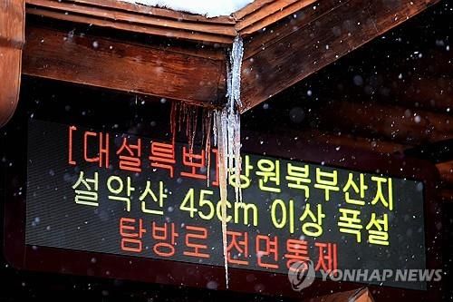 폭설에 설악산 탐방 전면통제