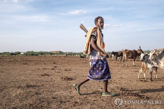에티오피아(기사 내용과 직접 관계 없음)
