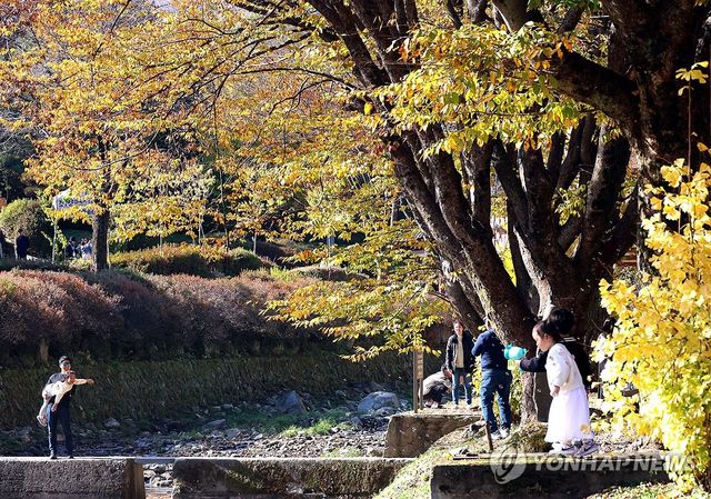 가을로 물든 제천 '배론성지'