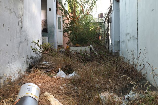 잡초 무성히 자란 주택 골목길