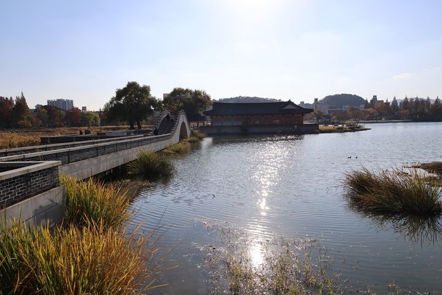 윤슬로 물든 전주 덕진공원 호수