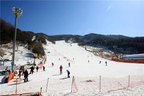 2020년 2월 용인 양지파인리조트 스키장 모습