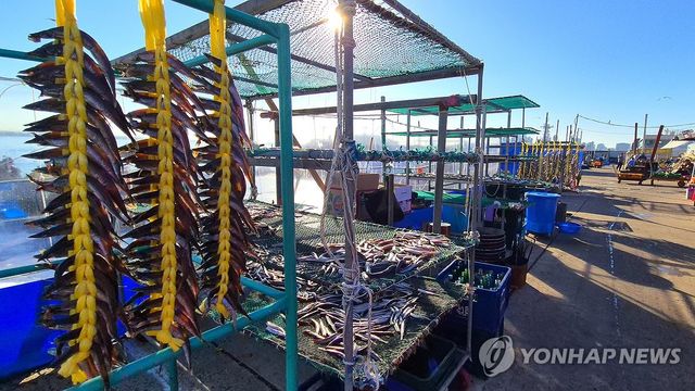 동해안 양미리 '제철'