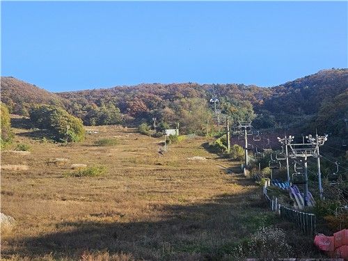 잡풀만 무성하고 양지리조트 스키장