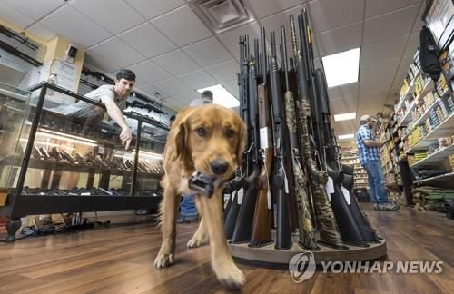 진열된 총기 앞에 서 있는 개