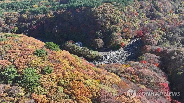 한라산 천아계곡 단풍 절정
