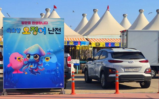 속초항 오징어 난전 방문을 환영합니다