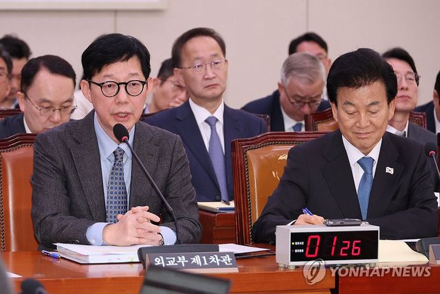 팩트시트 관련 질의에 답하는 박윤주 외교1차관