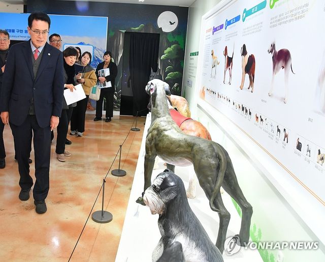 울산 반려동물 문화센터 