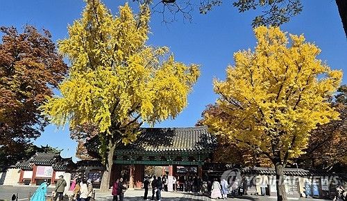 전주 한옥마을의 가을 풍경