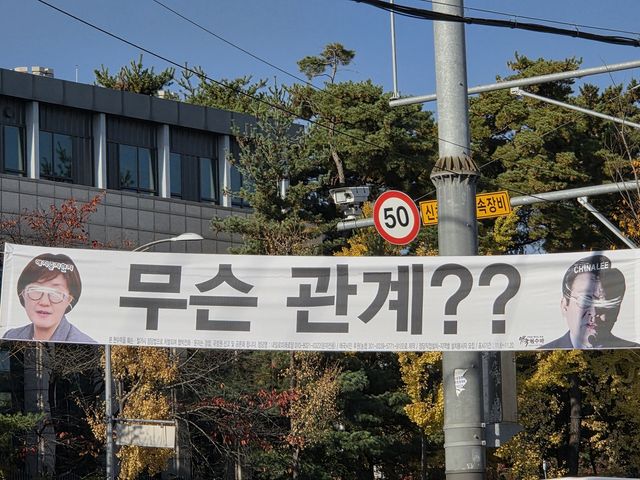 서울의 한 도로가에 걸린 정당 현수막