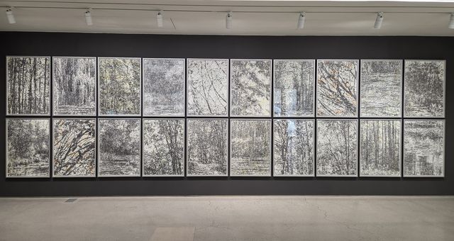 신경철의 드로잉 작품들