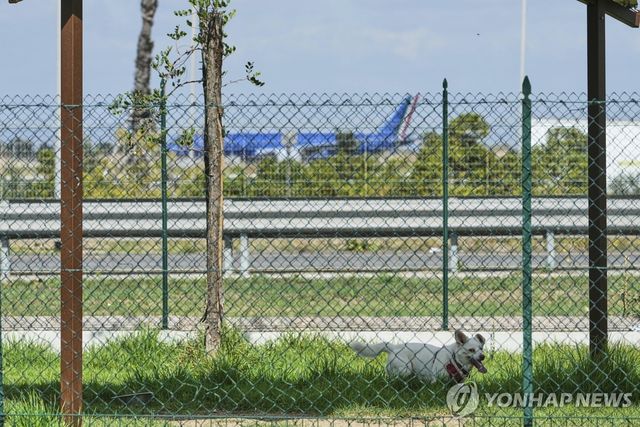 이탈리아 한 공항 인근의 개 호텔