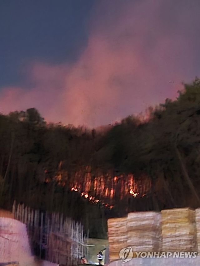 천안 동남구 유량동 산불 현장