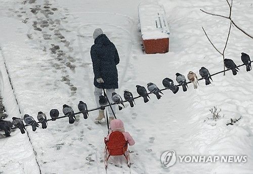 우크라이나의 겨울