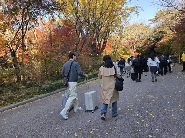 여성 참가자의 가방을 들어주며 수덕사로 향하는 남성 참가자