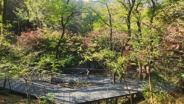 서울 중구 '남산자락숲길' 모습