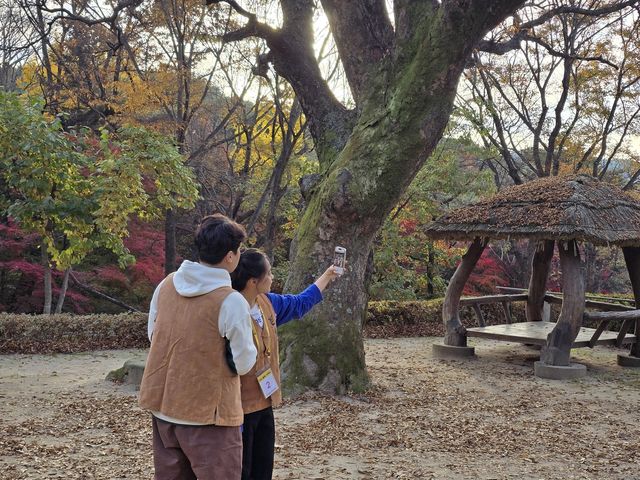 '나는 절로'에서 '현실 커플'이 된 참가자들