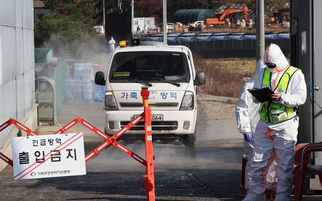 출입 통제 중인 화성 A산란계 농장