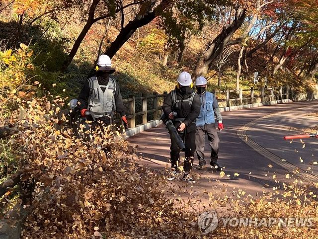 낙엽 청소