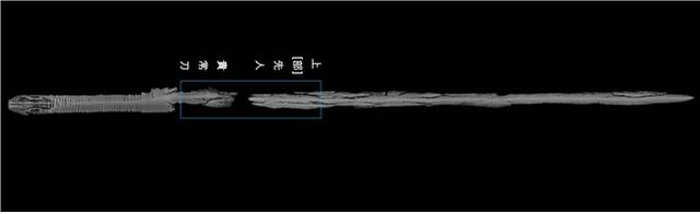 명문대도 X-선 사진