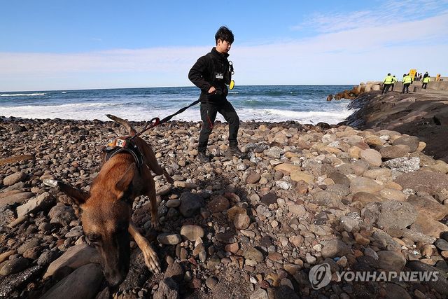 제주 해안가 마약 합동 수색