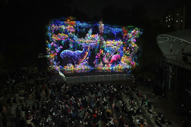 배봉산 숲속폭포 미디어파사드