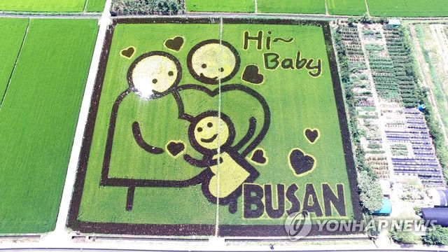 부산시, 출산장려 논 아트