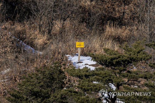 고성 GP에서 관측된 군사분계선 팻말