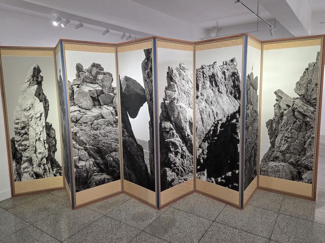 노순택 작 '흑산 #FS001'