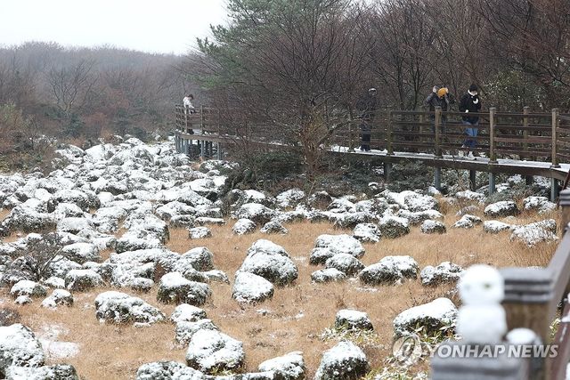첫눈 내린 한라산 1100고지