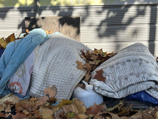 과일·채소 덮을 이불