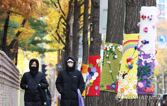 뜨개옷 입은 가로수