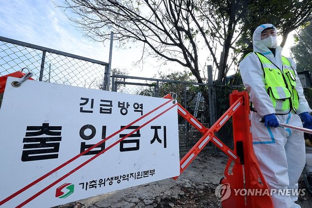 '조류인플루엔자' 광주 기러기 농장 출입통제